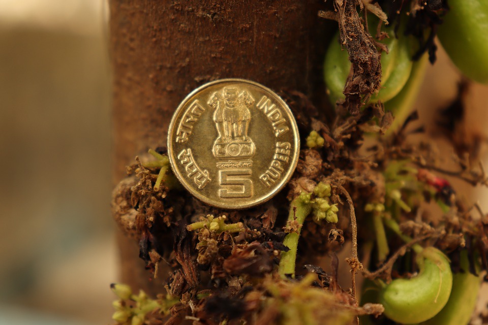indická mince
