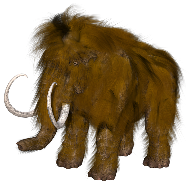 typický srstnatý mamut